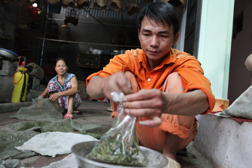 Vợt châu chấu, hốt bạc 60 triệu đồng/tháng ảnh 3 Vợt châu chấu, hốt bạc 60 triệu đ/tháng, Tin tức trong ngày, nghe vot chau chau, chau chau,chim canh ,chim, mua chau chau, moi chim