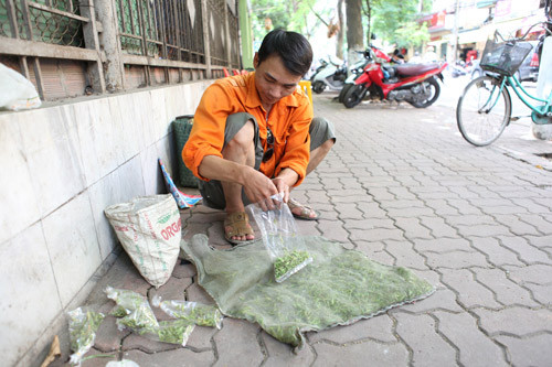 Vợt châu chấu, hốt bạc 60 triệu đồng/tháng ảnh 6 Vợt châu chấu, hốt bạc 60 triệu đ/tháng, Tin tức trong ngày, nghe vot chau chau, chau chau,chim canh ,chim, mua chau chau, moi chim