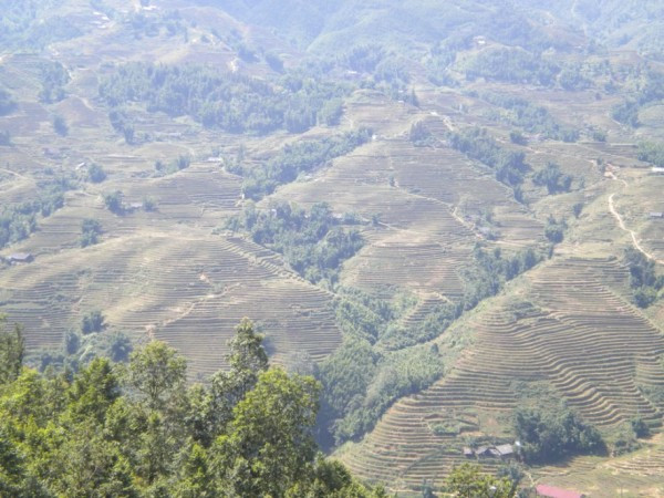 Các ruộng bậc thang cứ nối tiếp nhau trải dài qua những ngọn đồi tạo nên một khung cảnh vô cùng hùng vĩ. Các ruộng bậc thang cứ nối tiếp nhau trải dài qua những ngọn đồi tạo nên một khung cảnh vô cùng hùng vĩ.