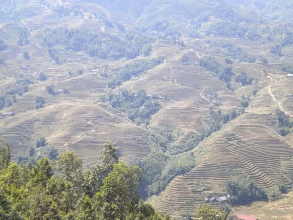 Các ruộng bậc thang cứ nối tiếp nhau trải dài qua những ngọn đồi tạo nên một khung cảnh vô cùng hùng vĩ. Các ruộng bậc thang cứ nối tiếp nhau trải dài qua những ngọn đồi tạo nên một khung cảnh vô cùng hùng vĩ.