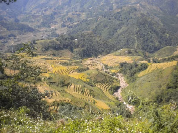 . Những hình ảnh mà Marie-Astrid Peltier đã được cô chia sẻ với bạn đọc trên trang Business Insider. . Những hình ảnh mà Marie-Astrid Peltier đã được cô chia sẻ với bạn đọc trên trang Business Insider.