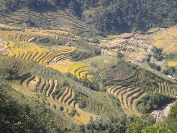 Sapa luôn hút khách du lịch bởi cánh đồng ruộng bậc thang rất ấn tượng. Sapa luôn hút khách du lịch bởi cánh đồng ruộng bậc thang rất ấn tượng.