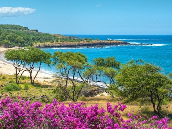 Larry Ellison đúng là một người nghiện mua đất. Vừa qua, ông đã mua lại Lana'i, một hòn đảo nhỏ của Hawaii với mức giá khoảng 500 - 600 triệu USD. Đối với một tỷ phú giàu thứ 6 thế giới thì mức giá này không quá đắt đỏ. Larry Ellison đúng là một người nghiện mua đất. Vừa qua, ông đã mua lại Lana'i, một hòn đảo nhỏ của Hawaii với mức giá khoảng 500 - 600 triệu USD. Đối với một tỷ phú giàu thứ 6 thế giới thì mức giá này không quá đắt đỏ.