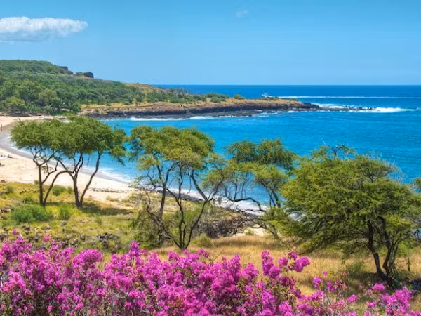 Larry Ellison đúng là một người nghiện mua đất. Vừa qua, ông đã mua lại Lana'i, một hòn đảo nhỏ của Hawaii với mức giá khoảng 500 - 600 triệu USD. Đối với một tỷ phú giàu thứ 6 thế giới thì mức giá này không quá đắt đỏ.