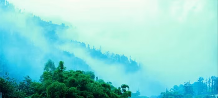 Thành phố chìm trong sương.