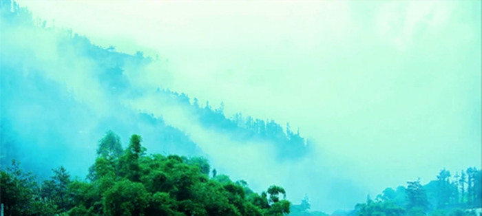 Thành phố chìm trong sương.