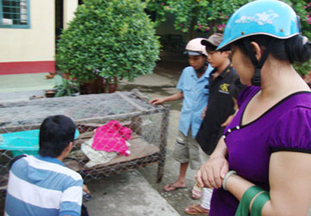 Do xo di xem rong o Ben Tre