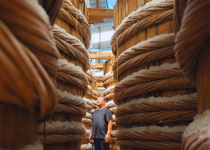 Chuyên gia ẩm thực Matsuo sửng sờ vì ấn tượng trước vẻ đẹp và quy mô hoành tráng của nhà thùng nước mắm Chin-su Phú Quốc. (Ảnh: Masan)