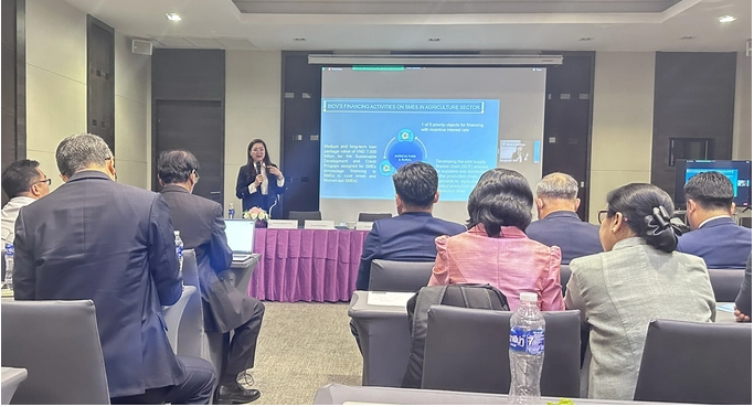 Đại diện BIDV phát biểu tại Hội thảo Đại diện BIDV phát biểu tại Hội thảo