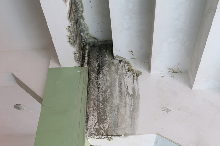 Nhiều công trình trong sân vận động này đã bị hư hỏng, xuống cấp nhưng không được tu sửa. Trước đó, vào năm 2011, Ủy ban nhân dân thành phố Đà Nẵng đã bán sân vận động này cho Tập đoàn Thiên Thanh của Phạm Công Danh với giá 1.400 tỷ đồng.