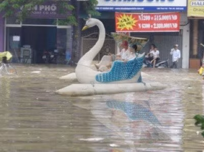 Mùa mưa là mùa đạp vịt không mất tiền