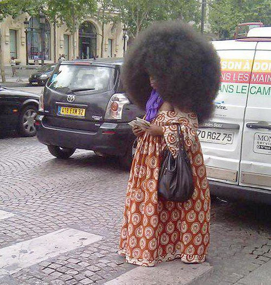 Người đẹp đầu xù