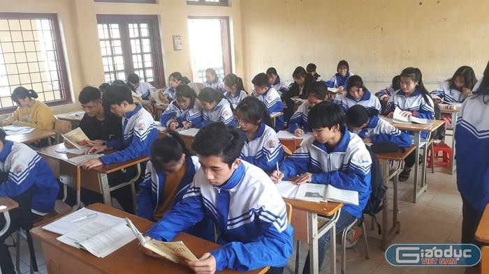Ảnh minh họa: H.H Ảnh minh họa: H.H