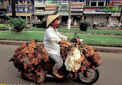 Tính toán chi li ra thì hôm đó mẹ em cũng phải thồ đến vài trăm con gà về làm thịt mừng đám cưới Tính toán chi li ra thì hôm đó mẹ em cũng phải thồ đến vài trăm con gà về làm thịt mừng đám cưới