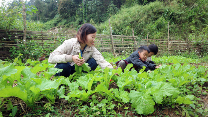 Giáo viên vùng khó vừa kiêm luôn vai trò “cô nuôi” tại điểm bản, vừa kết hợp dạy kỹ năng sống cho học sinh. Ảnh: Mộc Trà. Giáo viên vùng khó vừa kiêm luôn vai trò “cô nuôi” tại điểm bản, vừa kết hợp dạy kỹ năng sống cho học sinh. Ảnh: Mộc Trà.