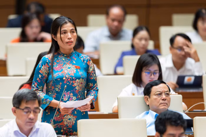 Đại biểu quốc hội Hồ Thị Minh (đoàn Đại biểu quốc hội tỉnh Quảng Trị). Ảnh: NVCC.