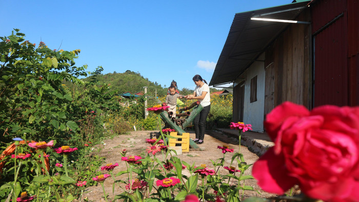 Niềm vui của giáo viên “cắm bản” là được chăm sóc những mầm non. Ảnh: Mộc Trà. Niềm vui của giáo viên “cắm bản” là được chăm sóc những mầm non. Ảnh: Mộc Trà.