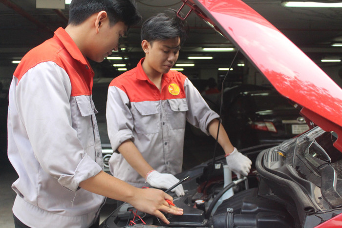 Ảnh minh họa: P.M Ảnh minh họa: P.M