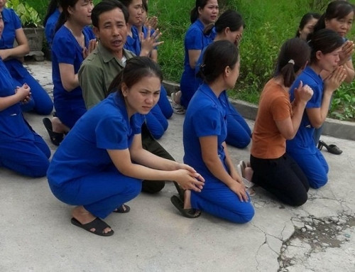Tỉnh Nghệ An đưa đất trường "các cô giáo phải quỳ" ra bán đấu giá ảnh 5 Tỉnh Nghệ An đưa đất trường "các cô giáo phải quỳ" ra bán đấu giá ảnh 5