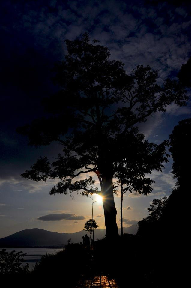 Ánh sáng của thiên nhiên làm sáng bừng rừng cây đang được trùm lên bởi một màu đen