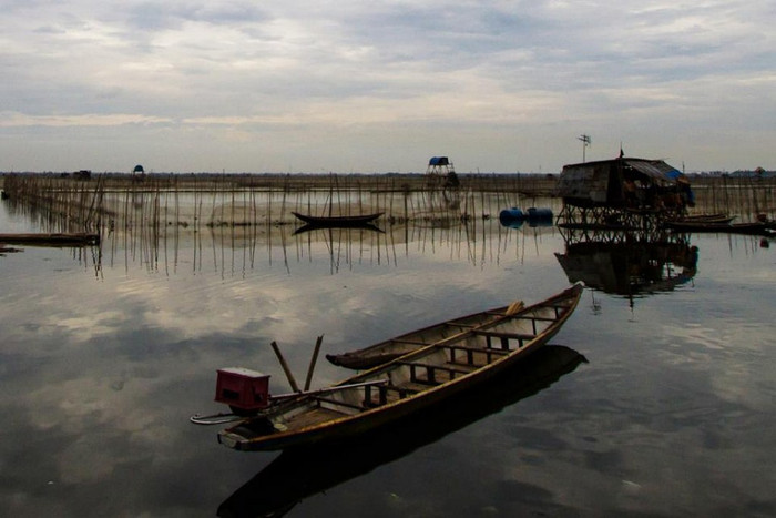 Đầm chuồn một chiều muộn... Đầm chuồn một chiều muộn...