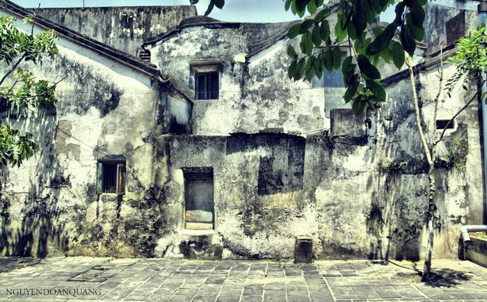 Bức tường "rêu phong" Bức tường "rêu phong"