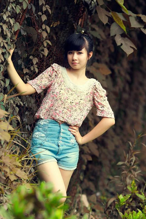 <<HOA KHÔI CÁC TRƯỜNG ĐẠI HỌC <<NGÔI SAO HỌC ĐƯỜNG