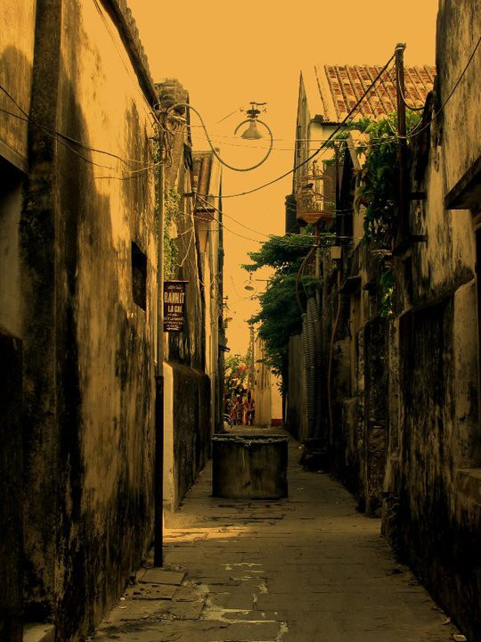 Con hẻm nhỏ nằm sâu trong ngõ Con hẻm nhỏ nằm sâu trong ngõ