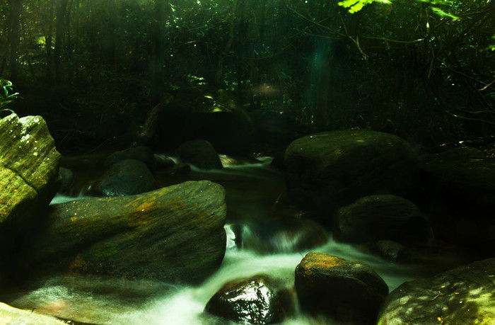 Những viên đá màu xanh rêu, lấp lánh ẩn hiện trong dòng nước xanh