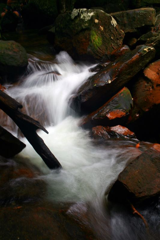 Khe suối ở suối Đá Bàn