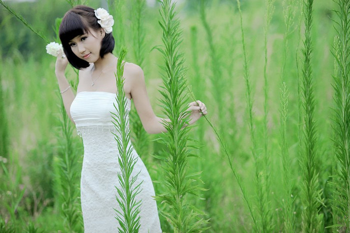 <<HOA KHÔI CÁC TRƯỜNG ĐẠI HỌC <<NGÔI SAO HỌC ĐƯỜNG <<HOA KHÔI CÁC TRƯỜNG ĐẠI HỌC <<NGÔI SAO HỌC ĐƯỜNG