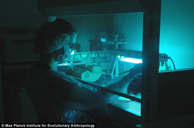 Quá trình giải mã DNA từ hóa thạch xương ngón tay