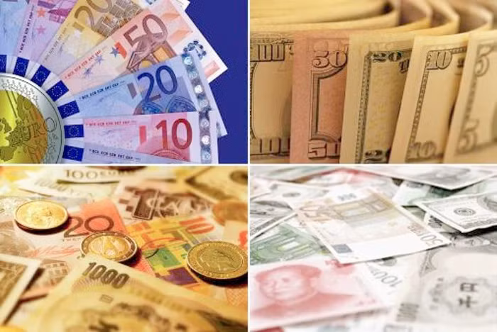 Thiếu chính sách thu hút khiến kiều bào không muốn gửi kiều hối qua các dự án đầu tư sản xuất kinh doanh