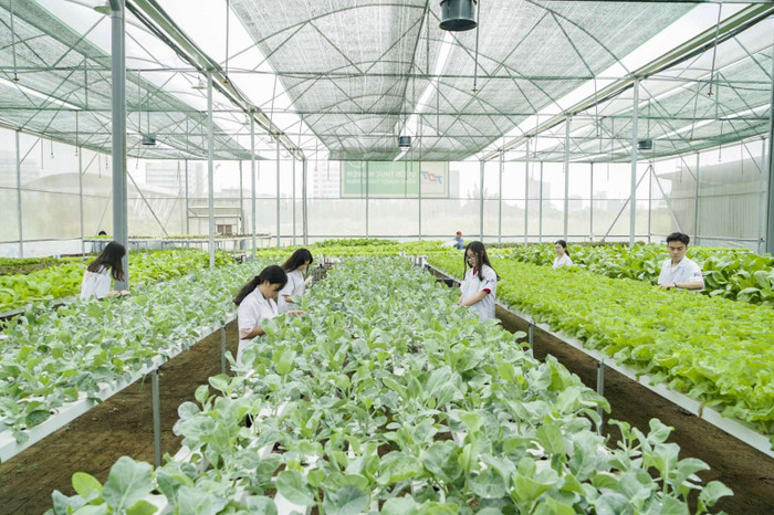 Ảnh minh họa: T.L Ảnh minh họa: T.L