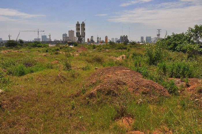 Cỏ mọc um tùm tại khu đất của dự án "Khu Trung tâm thương mại, Tháp Dầu khí và công viên giải trí" trên diện tích 21,2 ha thuộc Dự án "Tổ hợp khách sạn 5 sao, Trung tâm thương mại, Công viên giải trí và Tháp Dầu khí” sau khi bỏ hoang nhiều năm qua.