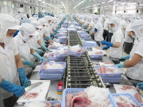 Nỗ lực của Bộ Công Thương đã giúp thủy sản Việt Nam tiếp cận thị trường Úc - ảnh nguồn Hiệp hội Chế biến và Xuất khẩu Thủy sản Việt Nam (VASEP) Nỗ lực của Bộ Công Thương đã giúp thủy sản Việt Nam tiếp cận thị trường Úc - ảnh nguồn Hiệp hội Chế biến và Xuất khẩu Thủy sản Việt Nam (VASEP)