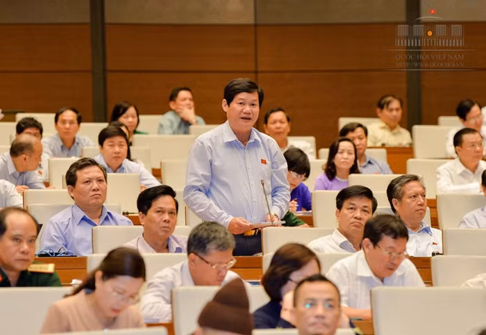 Đại biểu Lê Công Nhường (Bình Định) - ảnh Trung tâm thông tin Quốc hội.