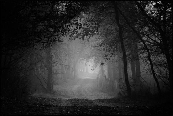 Đáp án bấm đây