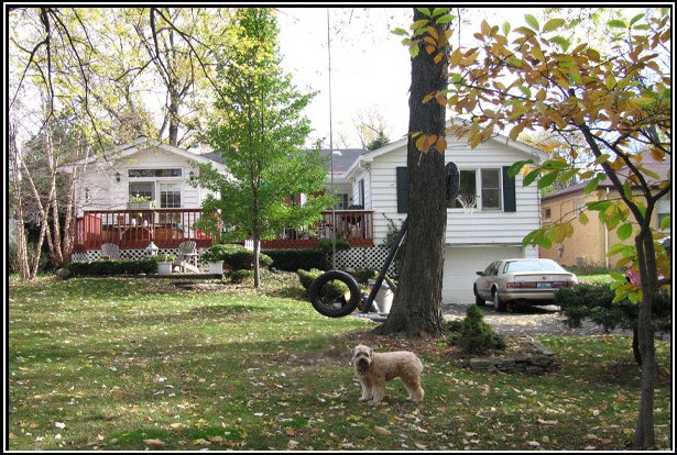 Hãy để ý dưới gầm chiếc xe oto.