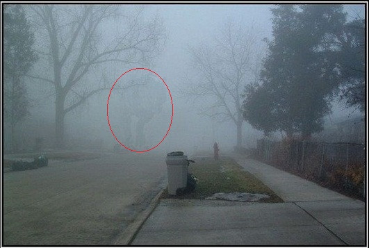 Cái bóng của một con khủng long.