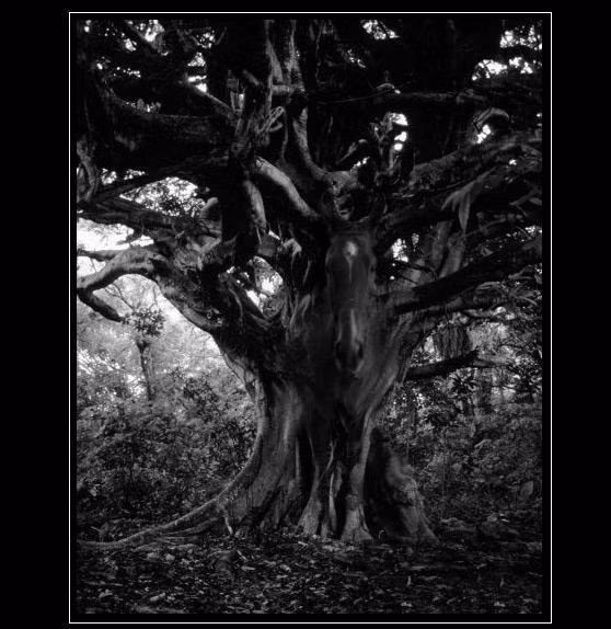 Đáp án bấm đây