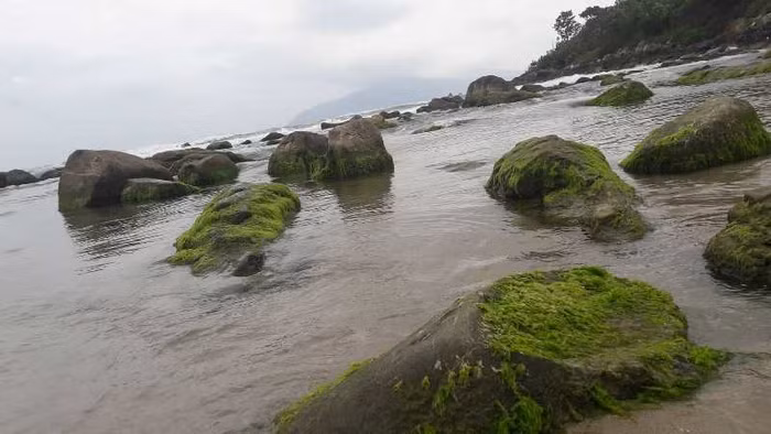 Những lớp rêu xanh phủ lên ghềnh đá cuốn hút du khách và dân săn ảnh.