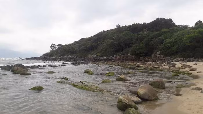 Bên trong hàng rào sắt do chủ đầu tư vây kín là bãi biển đẹp, hoang sơ với nhiều ghềnh đá, rừng cây. Những ngày qua, nơi đây trở thành điểm đến lý tưởng cho các "phượt thủ" và khách du lịch.