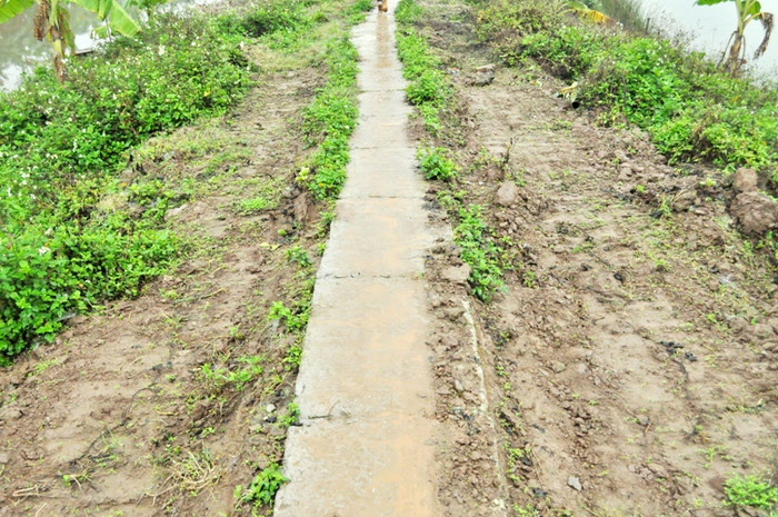 Ngay sau khi vụ cưỡng chế xảy ra, một chiếc máy xúc đã được huy động đến để phá căn nhà của ông Quý và ông Vươn. Dấu bánh xích của chiếc vẫn in hằn trên đất dù đã 1 tháng trôi qua Ngay sau khi vụ cưỡng chế xảy ra, một chiếc máy xúc đã được huy động đến để phá căn nhà của ông Quý và ông Vươn. Dấu bánh xích của chiếc vẫn in hằn trên đất dù đã 1 tháng trôi qua