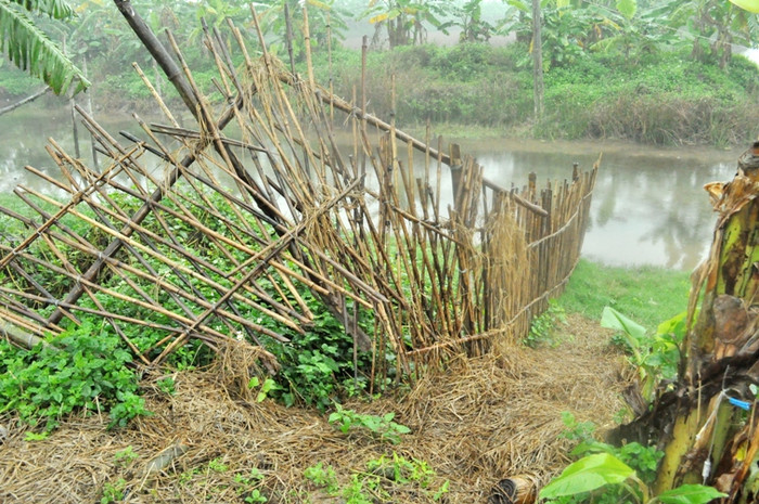 ... và bên trái hàng rào thứ 2 đã bị "chọc thủng" ... và bên trái hàng rào thứ 2 đã bị "chọc thủng"