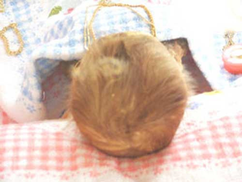 Dù cậu bé đã chết, nhưng tóc vẫn mọc Xac chet khong phan huy ��bao mong�" doi ve nha?