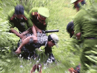 Ảnh minh họa. Ảnh minh họa.