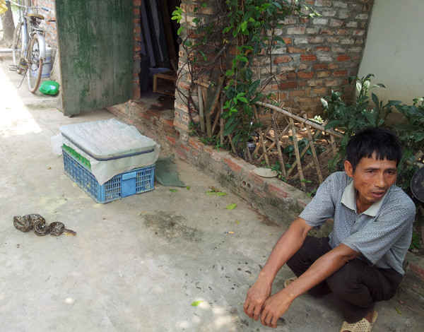 Ông Quyết cho biết thêm: “Vĩnh Sơn chưa bao giờ bị ế hàng các sản phẩm từ rắn. Rắn Vĩnh Sơn cũng như sản phẩm của rắn được xuất đi khắp nơi. Các loại rắn thường nuôi ở Vĩnh Sơn là hổ mang chúa, hổ trâu, và hổ mang thường".