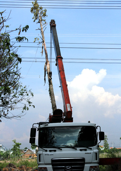 “Việc này cảnh báo khả năng mất điện do nhiều lý do khác nhau của Việt Nam trong tương lai và có thể lặp lại. Hệ quả sẽ rất lớn, nếu không có phương án xử lý sớm”