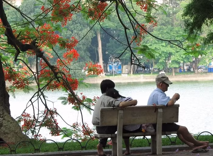 Cảnh không hiếm gặp ở bờ hồ Hoàn Kiếm Cảnh không hiếm gặp ở bờ hồ Hoàn Kiếm